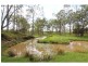 249 Tuckers Lane, Greta NSW 2334