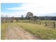 702 Wollombi Road, Bishops Bridge NSW 2326