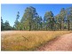 Bulga NSW 2330