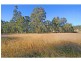 Bulga NSW 2330