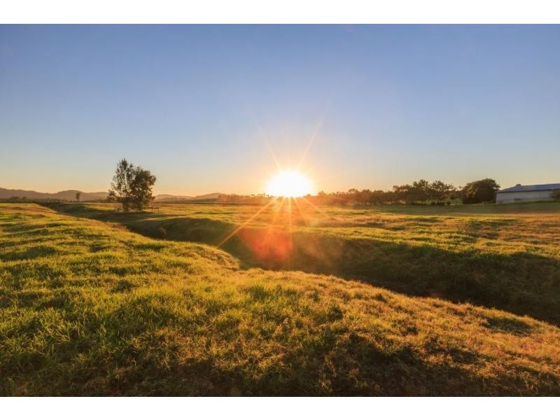 93 Luskintyre Road, Luskintyre NSW 2321