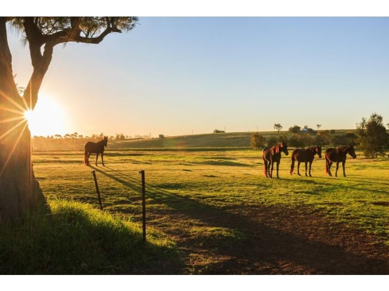 93 Luskintyre Road, Luskintyre NSW 2321