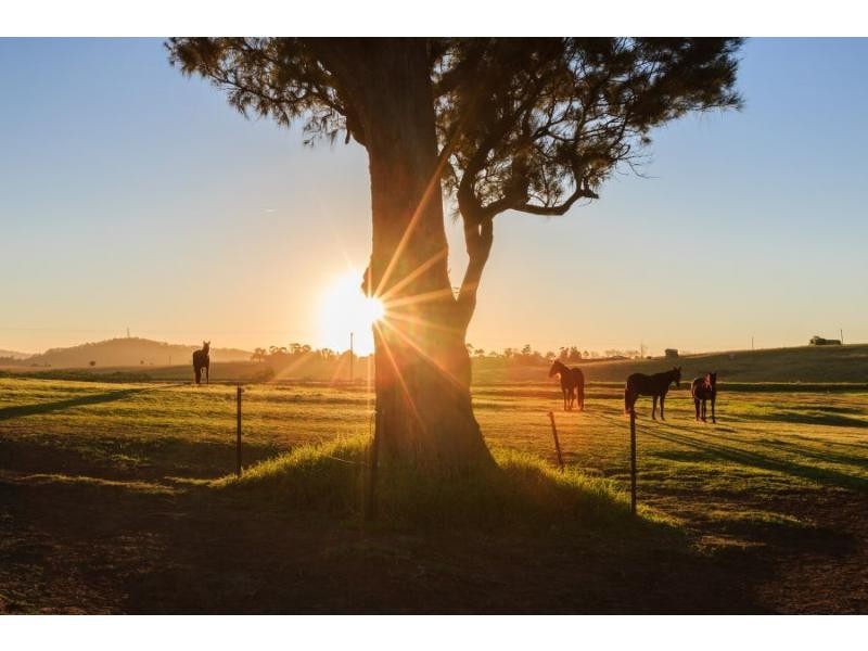 93 Luskintyre Road, Luskintyre NSW 2321