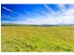485 Luskintyre Road, Luskintyre NSW 2321
