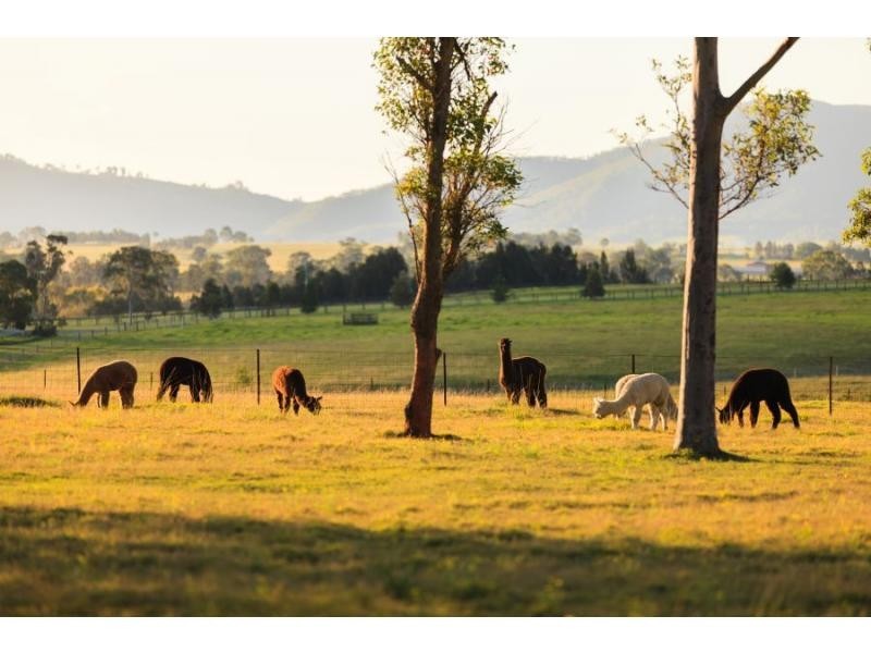 485 Luskintyre Road, Luskintyre NSW 2321
