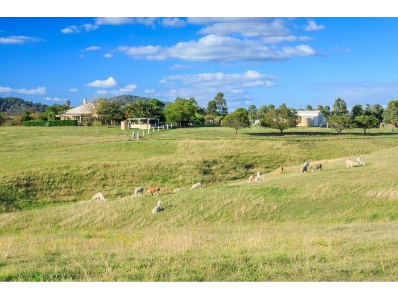485 Luskintyre Road, Luskintyre NSW 2321