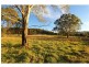 599 Congewai Road, Congewai NSW 2325