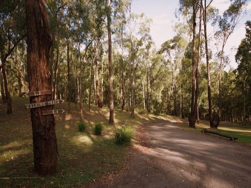 1329 Mount View Road, Mount View NSW 2325