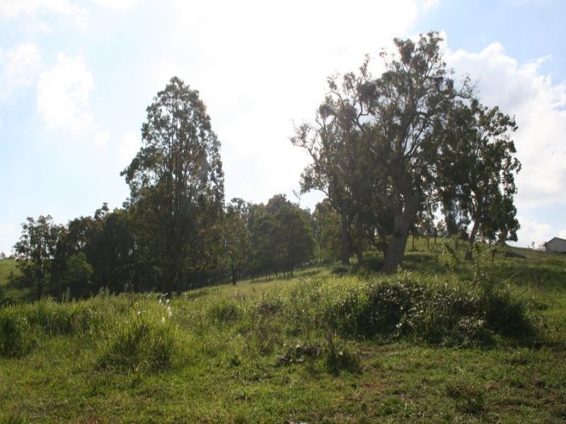 Lot 1022 Wollong Road, Quorrobolong NSW 2325