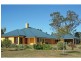 141 Camp Road, Lovedale NSW 2325