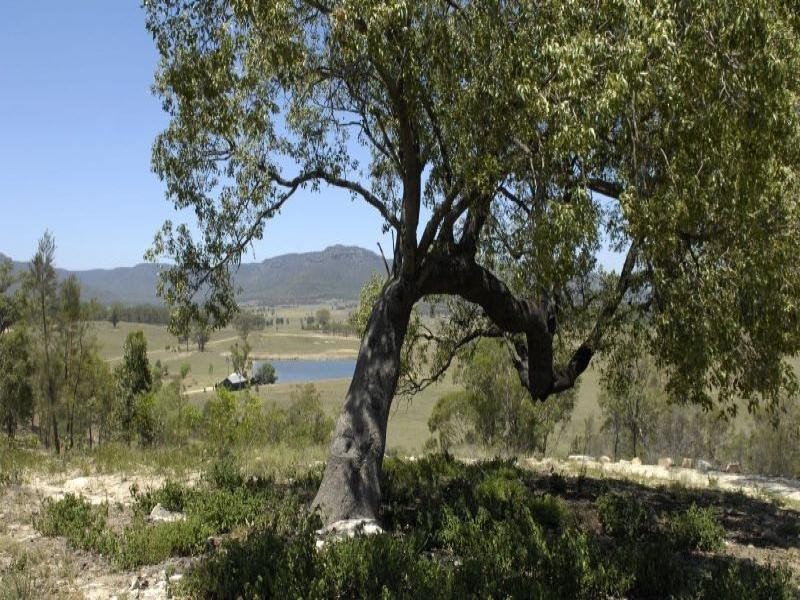 1325 Broke Road, Broke NSW 2330