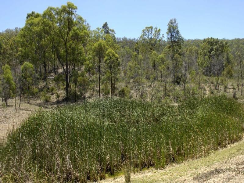 1325 Broke Road, Broke NSW 2330