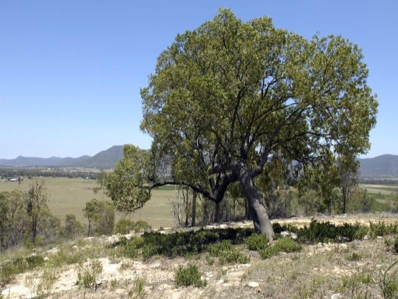 1325 Broke Road, Broke NSW 2330