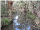 Lot 1 Lodge Road, Lovedale NSW 2325