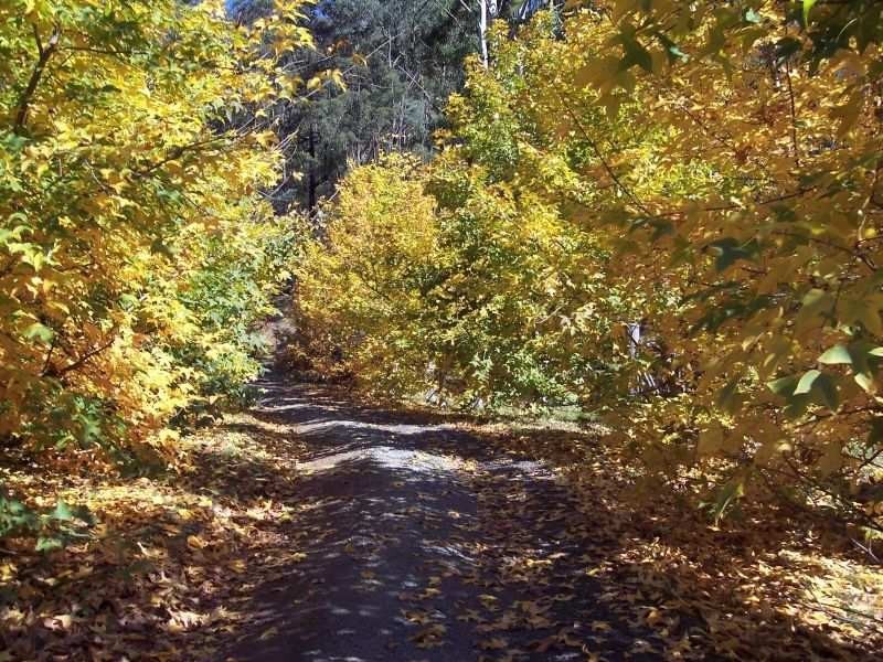 519 Off Yango Creek Road, Laguna NSW 2325