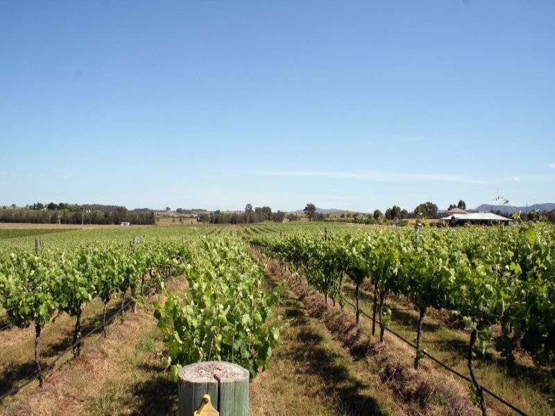 639 McDonalds Road, Pokolbin NSW 2320