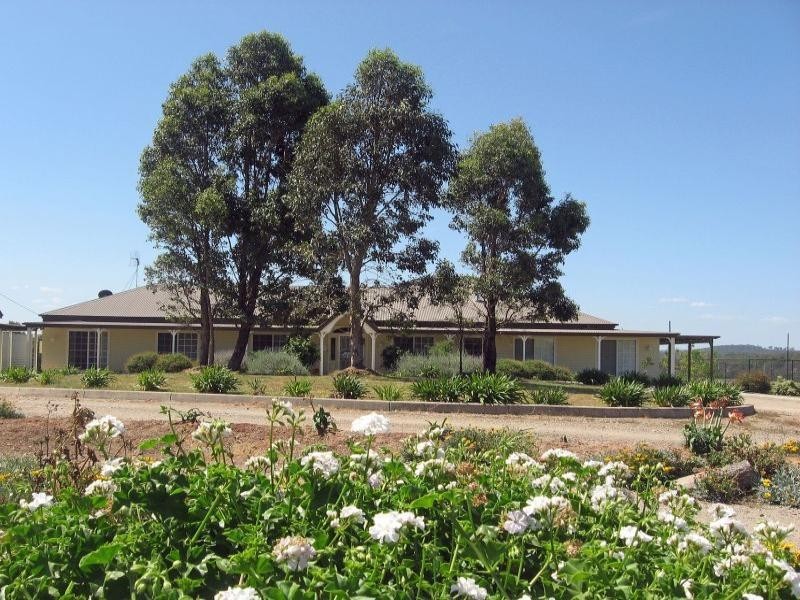 639 McDonalds Road, Pokolbin NSW 2320