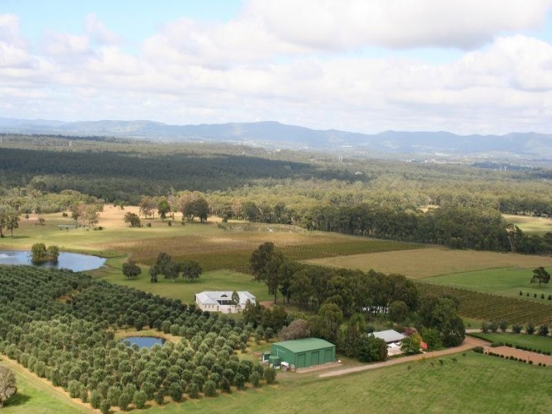 Lovedale NSW 2325