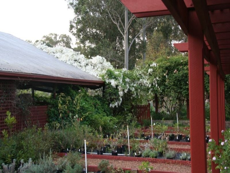 72 Gillards Lane, Pokolbin NSW 2320