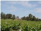 25 Londons Road, Lovedale NSW 2325
