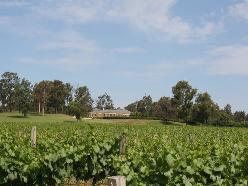 25 Londons Road, Lovedale NSW 2325
