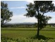 25 Londons Road, Lovedale NSW 2325