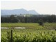 25 Londons Road, Lovedale NSW 2325