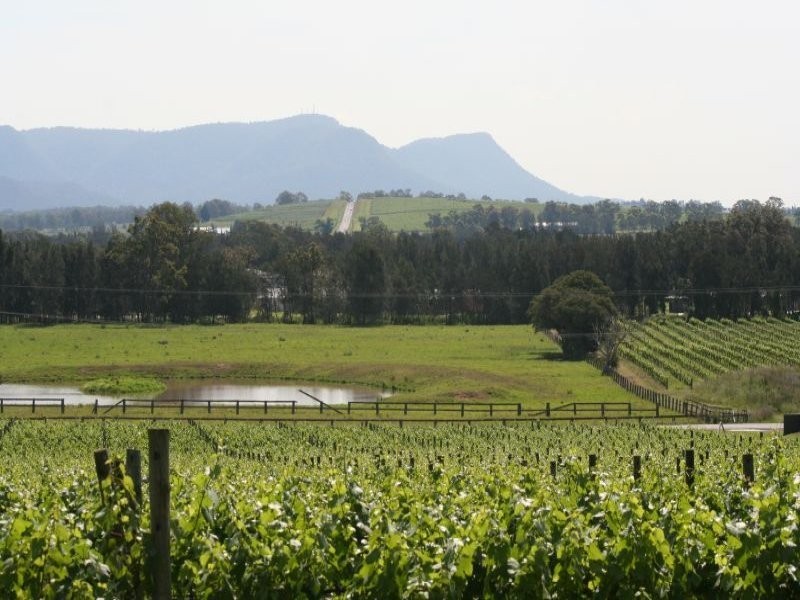 25 Londons Road, Lovedale NSW 2325
