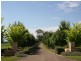 25 Londons Road, Lovedale NSW 2325