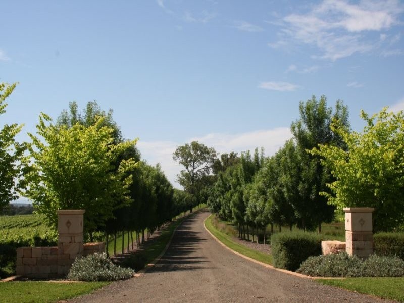25 Londons Road, Lovedale NSW 2325