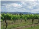 59 Palmers Lane, Pokolbin NSW 2320