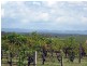 59 Palmers Lane, Pokolbin NSW 2320