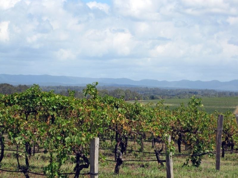 59 Palmers Lane, Pokolbin NSW 2320