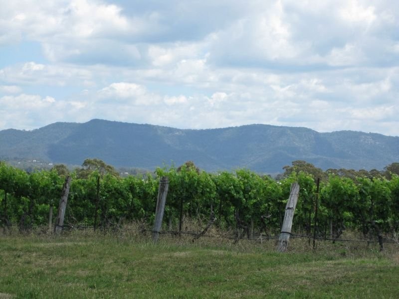 59 Palmers Lane, Pokolbin NSW 2320