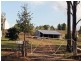 59 Palmers Lane, Pokolbin NSW 2320