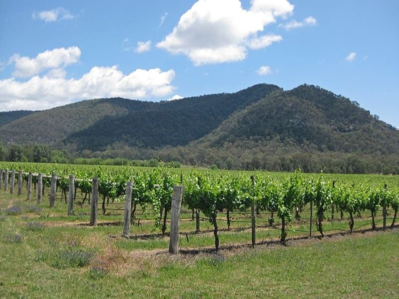 L1 Milbrodale Road, Broke NSW 2330