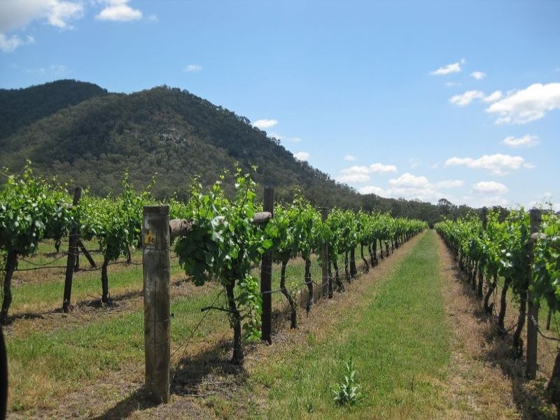 L1 Milbrodale Road, Broke NSW 2330