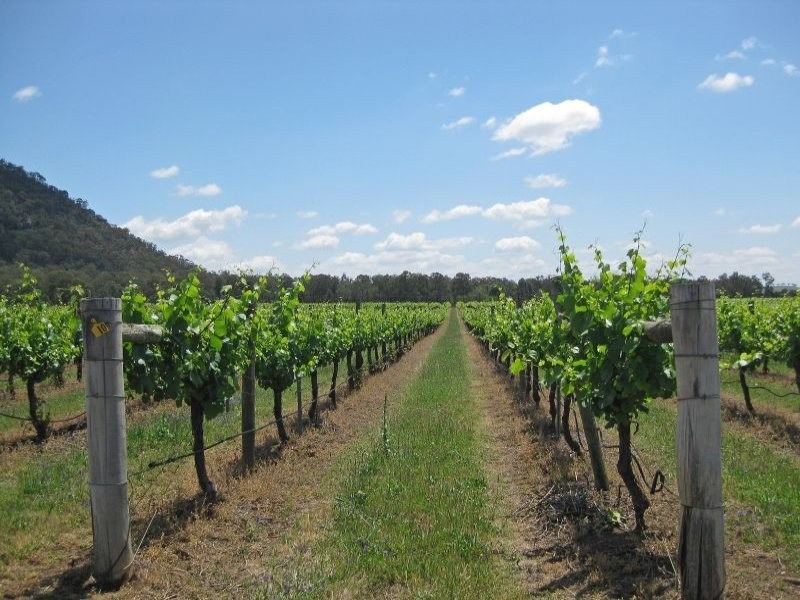 L1 Milbrodale Road, Broke NSW 2330