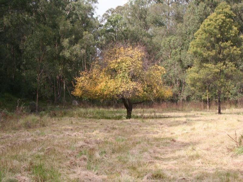 25 & 42 Old Settlers Road, Paynes Crossing NSW 2325