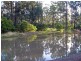 13 Green Lane, Lovedale NSW 2325