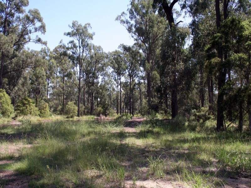 13 Green Lane, Lovedale NSW 2325