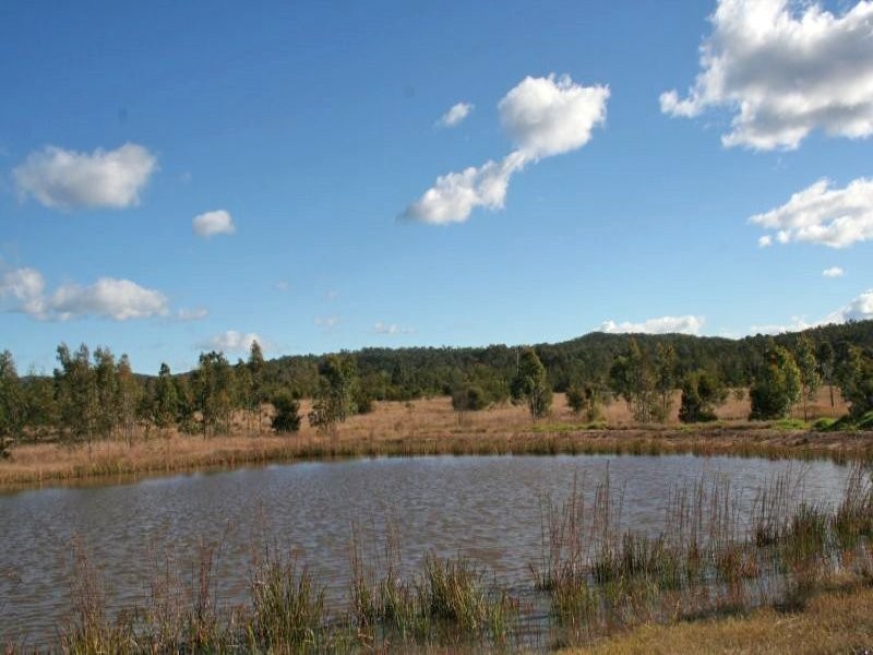 Lot 50 & 51 Wallaby Gully Road, Ellalong NSW 2325