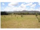 Lot 50 & 51 Wallaby Gully Road, Ellalong NSW 2325