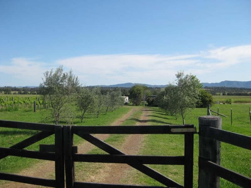 483 Talga Road, Lovedale NSW 2325