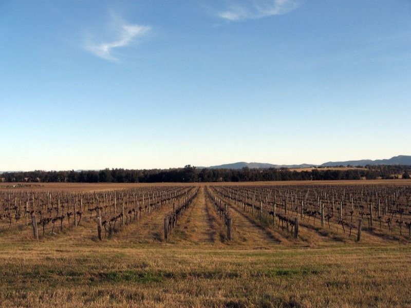 483 Talga Road, Lovedale NSW 2325