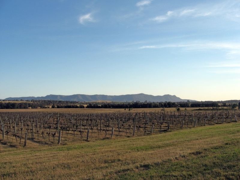 483 Talga Road, Lovedale NSW 2325