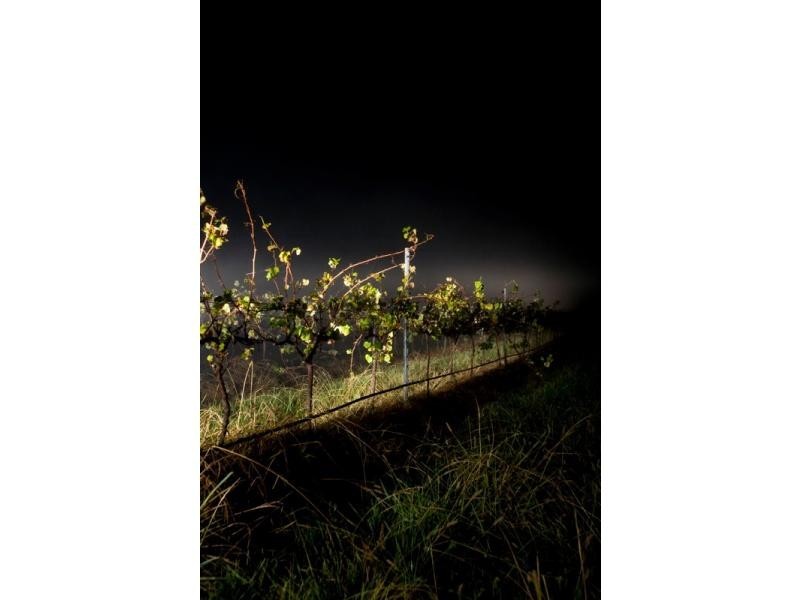 409 Palmers Lane, Pokolbin NSW 2320