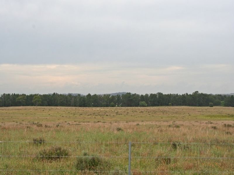 155 Milbrodale Road, Broke NSW 2330