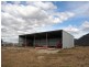155 Milbrodale Road, Broke NSW 2330