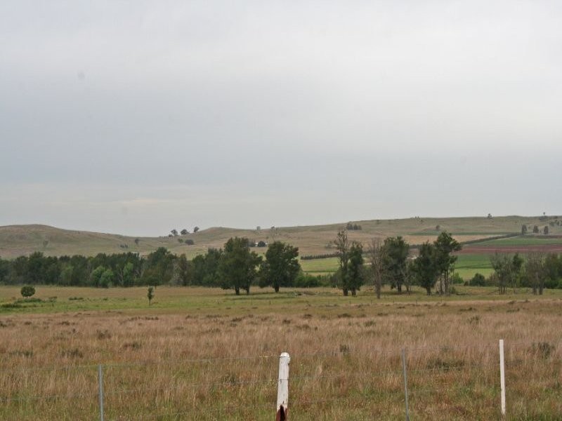 155 Milbrodale Road, Broke NSW 2330